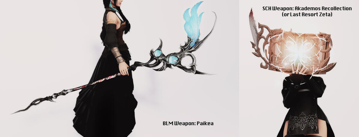 BLM / SCH weapons